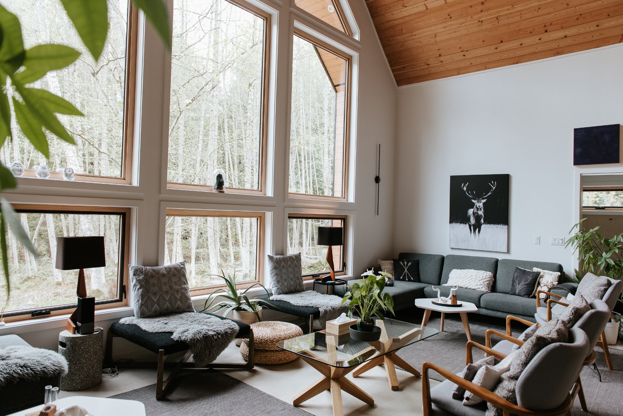 Onyx Lodge living room with forest view